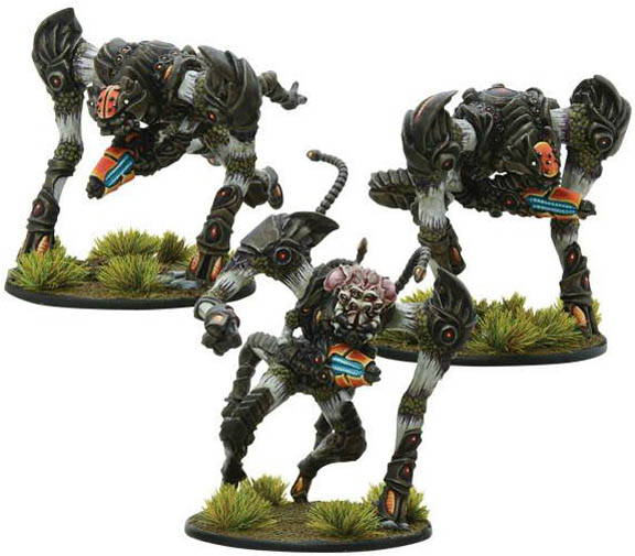 Isorian Tsan Ra command squad Isorian Tsan Ra command squad