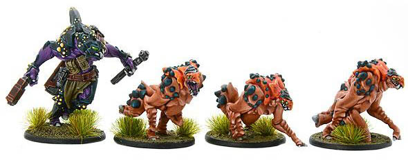 Hükk bounty hunter and hunting angkriz Hükk bounty hunter and hunting angkriz