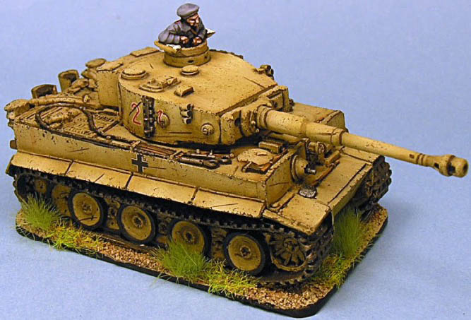 15mm Tiger Ie tropical (3)