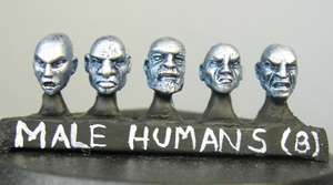 Human Male Heads (A)